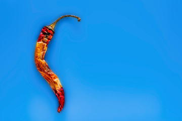 Rotten bitter pepper