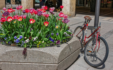 Fototapeta na wymiar Abandoned bike parked near street flowerbed