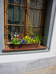 Fototapeta na wymiar Window with flowers in old city center of Cesky Krumlov