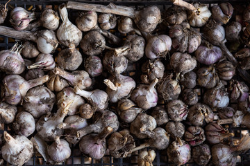 organic garlic in plastic boxes
