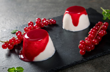 Delicious panna cotta dessert with red currant sauce