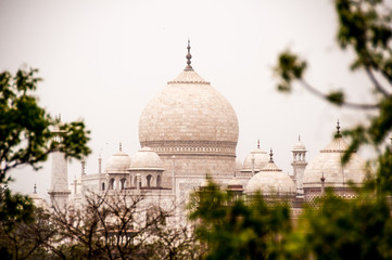 Taj Mahal 