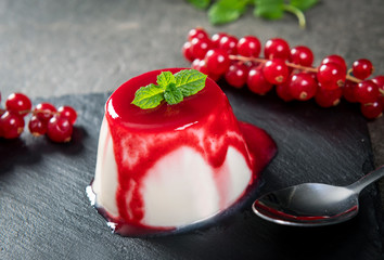 Delicious panna cotta dessert with red currant sauce