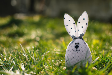 Little rabbit in green grass. Easter bunny. Easter holiday concept.