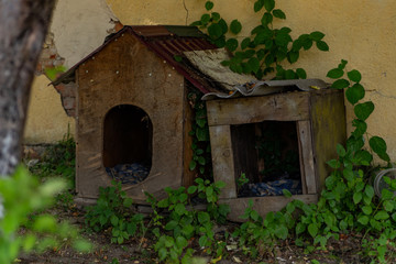 Fototapeta na wymiar old dog houses fall apart from old age