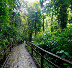 A stone trail leading to Chute du Carbet waterfalls group inside a tropical forest located in Basse-Terre, Guadeloupe.