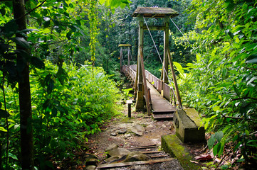 Hanging bridge leading to the Forest House (Maison de la Forêt) in Basse-Terre, Guadeloupe