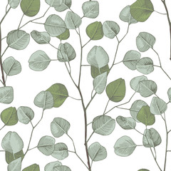 Seamless pattern with hand drawn eucalyptys branches