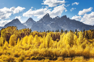 View of the Grand Teton Mountains from Schwabacher Landing on the Snake River. Grand Teton National Park, Wyoming, United States.