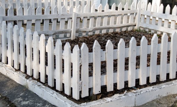flowerbed fenced with a wooden fence made of white painted boards