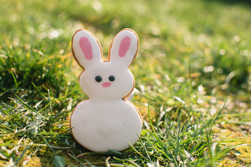 Rabbit in green grass. Rabbit farmer. Easter bunny. Easter holiday concept. 