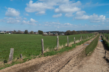 Wanderweg durch die grüne, ländliche Natur