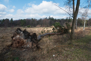 Fototapeta na wymiar Naturschutz Gebiet Schlangenberg in Stolberg Breinig