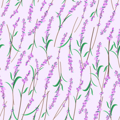 Wild lavender flowers seamless pattern.