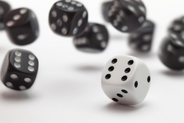 Black and White playing dice at white  background.