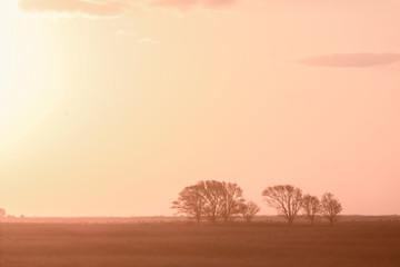 Pampas sunset landscape, La pampa, Argentina