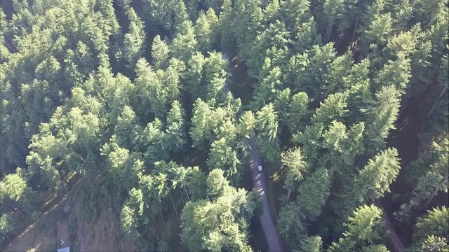 Aerial view Jeep passing thru jungle in Pakistan mountains shogran naran valley- hidden views