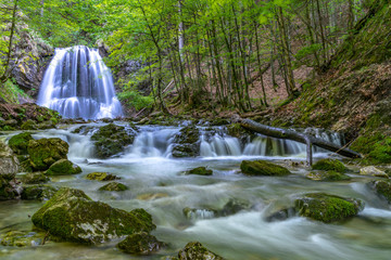 Kaskadenförmig fließt der Hachelbach als Wasserfall ins Tal