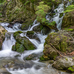 Ein Bach schlängelt sich über die bemoosten Felsen im Wald
