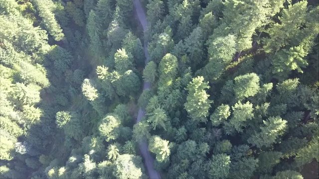 aerial view of jeep going in thick forest of pakistan mountains of naran valley thick trees forest
