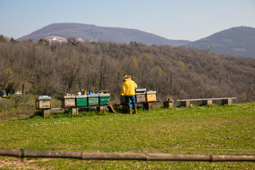 beekeeper checks honey, in the background Botticino marble caves