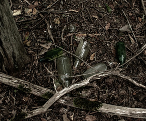 trash bottles in the woods