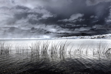 Dramatic Sky and Reflection of Reeds in Lake Tahoe
