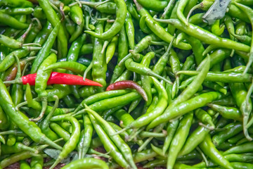 Green chili pepper with one red