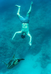 Swimming with turtle, Oahu Hawaii