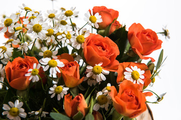 Fresh, lush bouquet of colorful flowers for present.  Wedding bouquet of red roses and freesia flowers. Close-up, macro