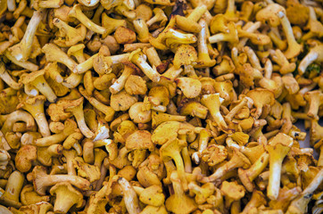 Bunch of chanterelle mushrooms in wooden bowl isolated on white background. top view, close up