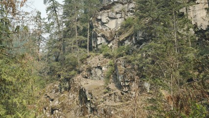 Cliff side in a national forest park in British Columbia Canada