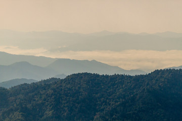 The Great Smoky Mountains