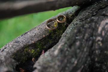 Golden wedding rings on a vintage wooden texture background. Close-up, macro