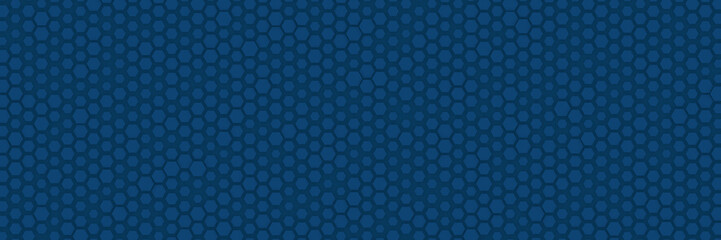 Fototapeta na wymiar Modern blue abstract hexagonal background for presentation design, wide banner, brocure, backdrop and business card
