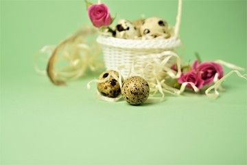 White wicker basket filled with straw,small pink roses,quail eggs on a green background. The concept of Easter Holidays. Easter card.Copy space.