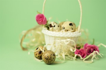 White wicker basket filled with straw,small pink roses,quail eggs on a green background. The concept of Easter Holidays. Easter card.Copy space.