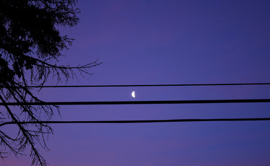 as the moon turns cr2020darrelljbanks