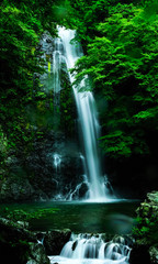 Fototapeta na wymiar 明治の森　箕面の大滝