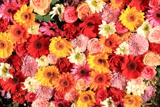 Colorful wedding flower arrangement