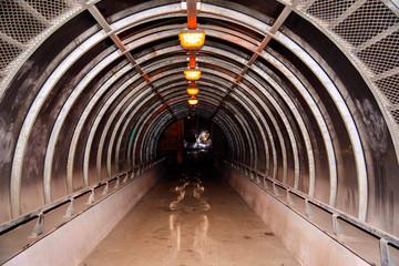 Fairy tunnel