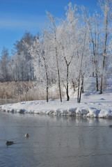 Omsk region, Siberian, Russia