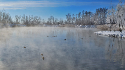 Omsk region, Siberian, Russia