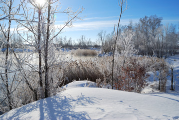 Omsk region, Siberian, Russia