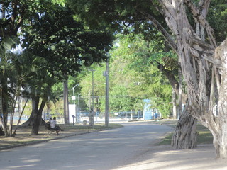 Obraz premium Park