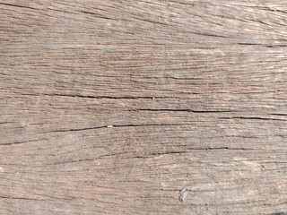 Fototapeta premium texture of wood
