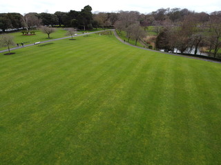 top view in the park