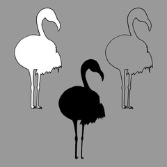 Outline and silhouettes of flamingos vector on a gray background.