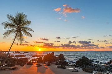 Silhouette einer Palme und einem Sandstrand im Nationalpark Corcovado mit Blick auf den Pazifischen Ozean bei Sonnenuntergang, Halbinsel Osa, Costa Rica, Mittelamerika. © SL-Photography