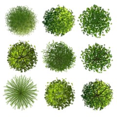 set of trees top view isolated for landscape plan © Chanya_B